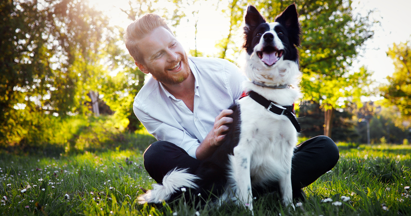 Dog Lovers Who Travel